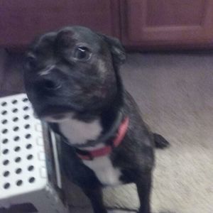 Meet your Posher, Paul